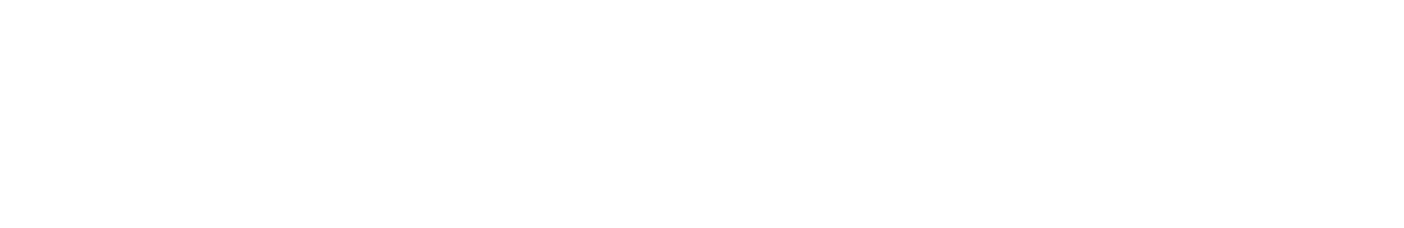 THE STOCKS CO,.LTD.